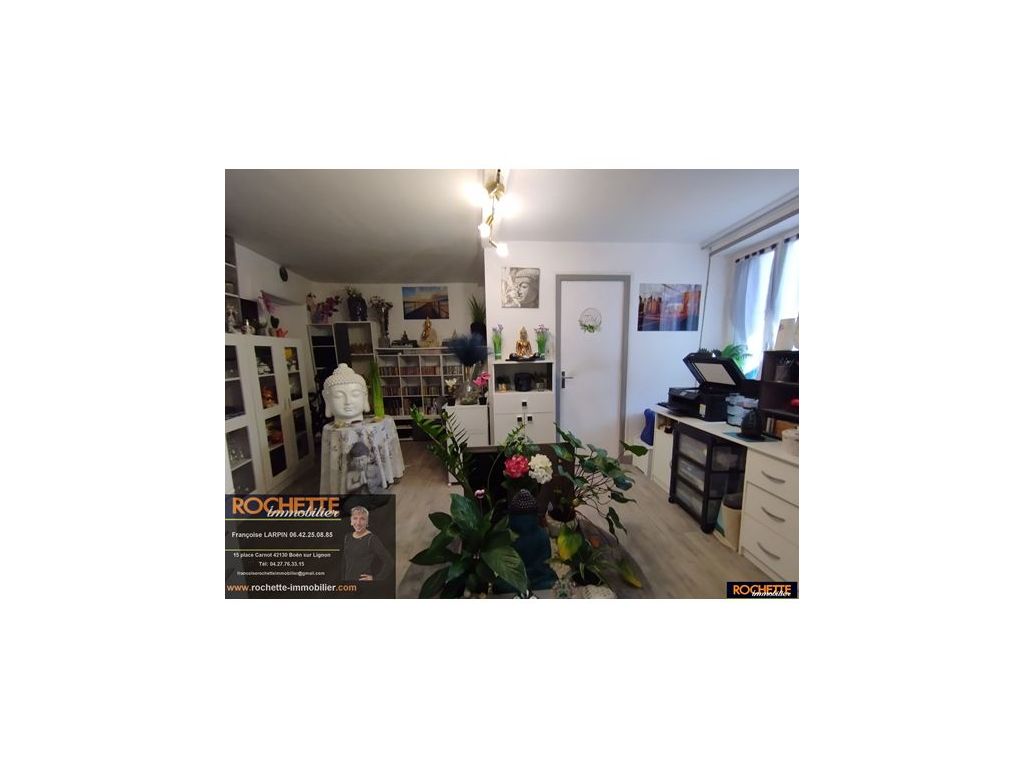 Maison ST THURIN VETRE SUR ARZON (42111) ROCHETTE IMMOBILIER