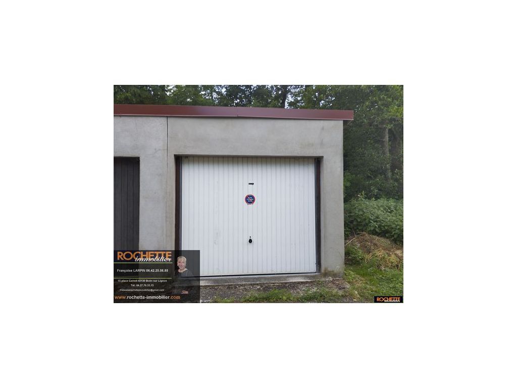 Maison ST THURIN VETRE SUR ARZON (42111) ROCHETTE IMMOBILIER